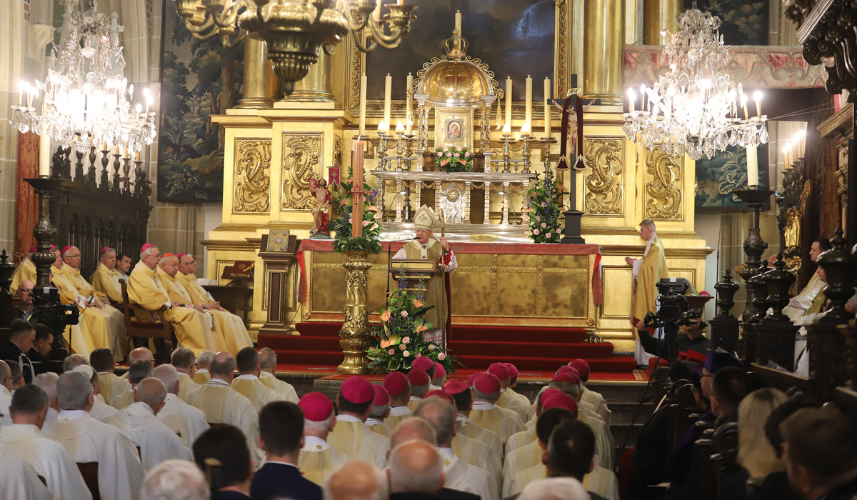 Złoty jubileusz kapłaństwa ks. abpa Marka Jędraszewskiego